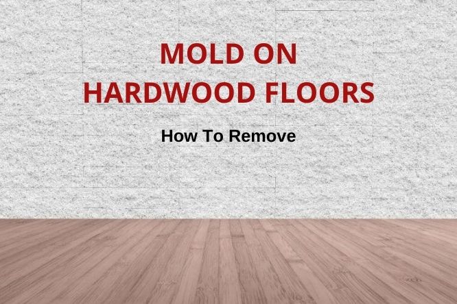 How To Remove Mold On Hardwood Floors, Removing Mold From Hardwood Floors